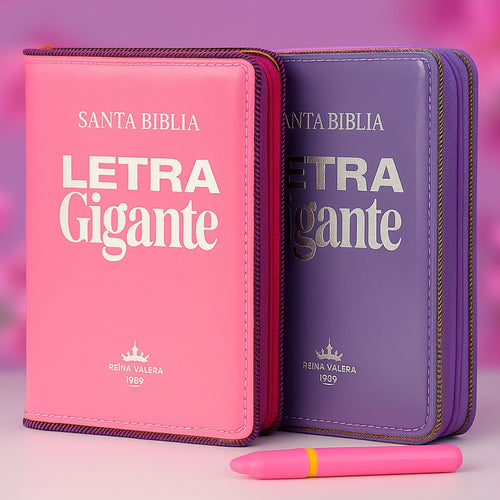 Biblia RVR1960 + Separadores + Estuche transparente + Resaltador gel